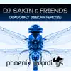 DJ Sakin & Friends - Dragonfly (Reborn Remixes)